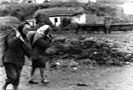 Fluechtlinge/refugees